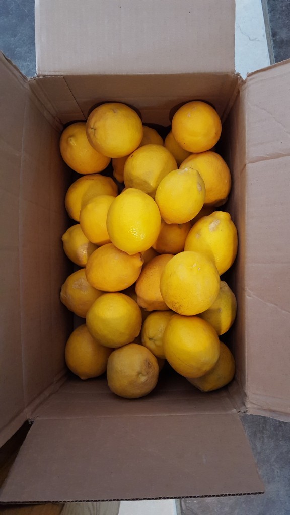 Meyer Lemons from Houston (Eliot's Eats)