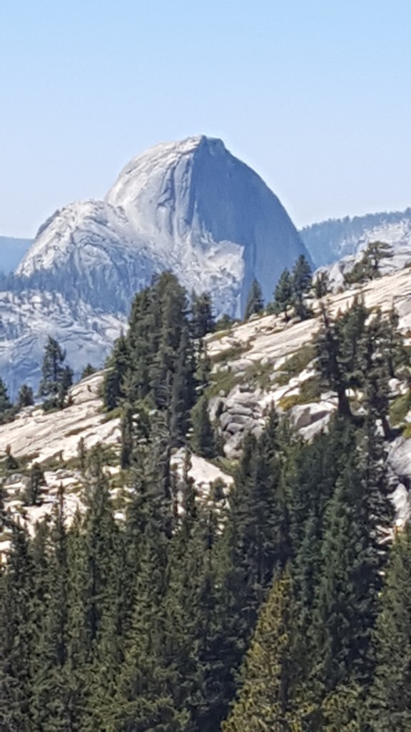 View of Half Dome from Olmstead point.